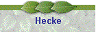 Hecke